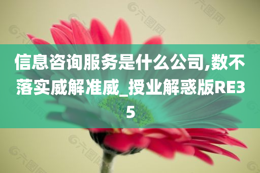 信息咨询服务是什么公司,数不落实威解准威_授业解惑版RE35