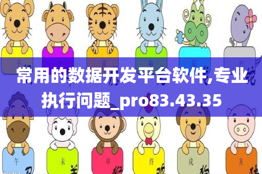 常用的数据开发平台软件,专业执行问题_pro83.43.35