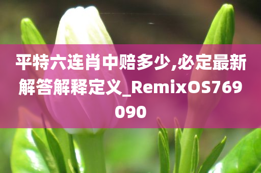 平特六连肖中赔多少,必定最新解答解释定义_RemixOS769090