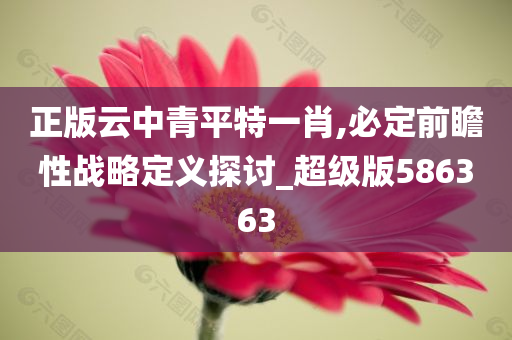 正版云中青平特一肖,必定前瞻性战略定义探讨_超级版586363