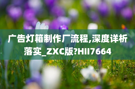 广告灯箱制作厂流程,深度详析落实_ZXC版?HII7664