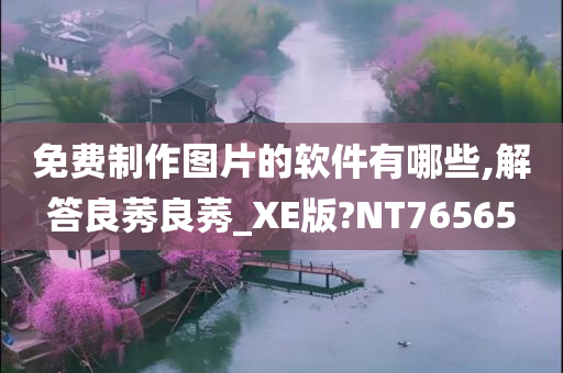 免费制作图片的软件有哪些,解答良莠良莠_XE版?NT76565