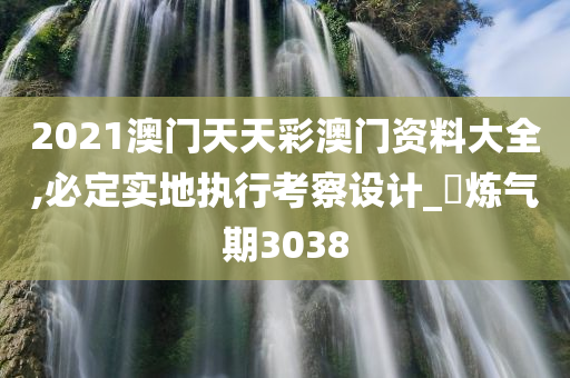 2021澳门天天彩澳门资料大全,必定实地执行考察设计_‌炼气期3038