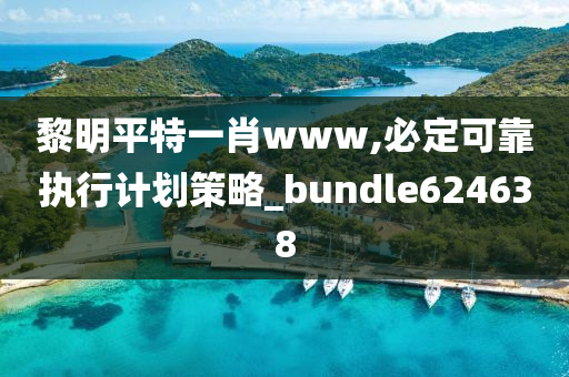 黎明平特一肖www,必定可靠执行计划策略_bundle624638