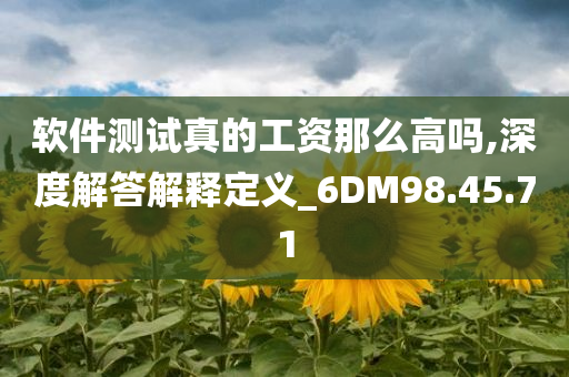 软件测试真的工资那么高吗,深度解答解释定义_6DM98.45.71