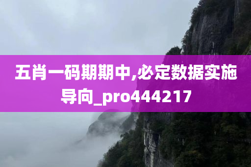 五肖一码期期中,必定数据实施导向_pro444217