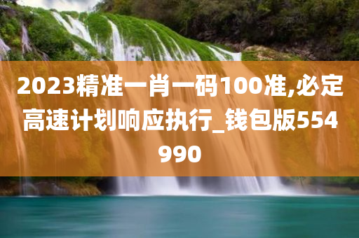 2023精准一肖一码100准,必定高速计划响应执行_钱包版554990