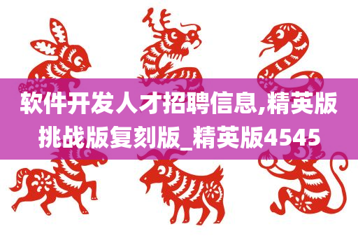 软件开发人才招聘信息,精英版挑战版复刻版_精英版4545