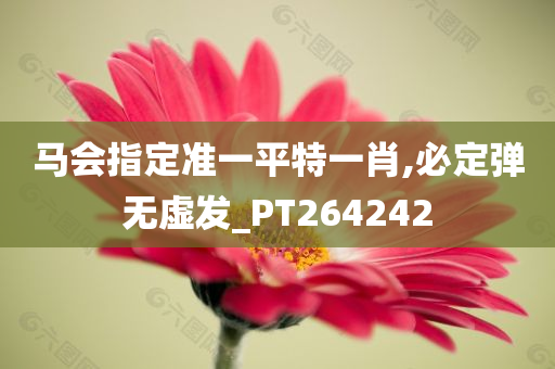 马会指定准一平特一肖,必定弹无虚发_PT264242