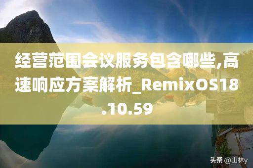 经营范围会议服务包含哪些,高速响应方案解析_RemixOS18.10.59