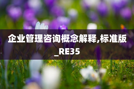 企业管理咨询概念解释,标准版_RE35