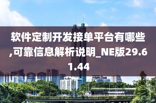 软件定制开发接单平台有哪些,可靠信息解析说明_NE版29.61.44