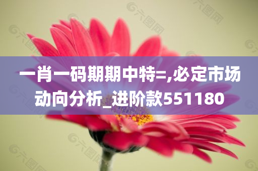 一肖一码期期中特=,必定市场动向分析_进阶款551180