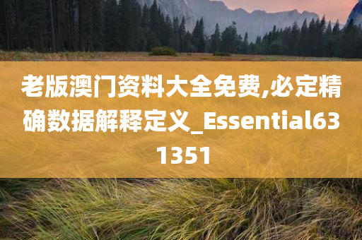 老版澳门资料大全免费,必定精确数据解释定义_Essential631351