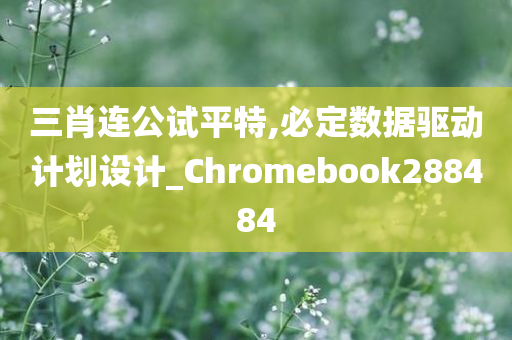 三肖连公试平特,必定数据驱动计划设计_Chromebook288484