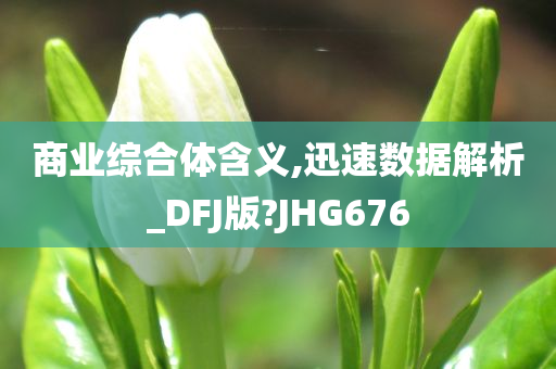 商业综合体含义,迅速数据解析_DFJ版?JHG676