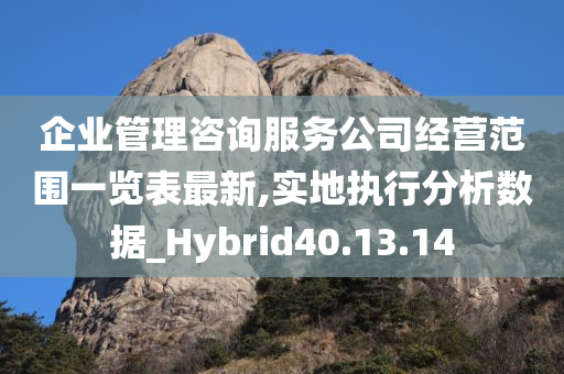 企业管理咨询服务公司经营范围一览表最新,实地执行分析数据_Hybrid40.13.14