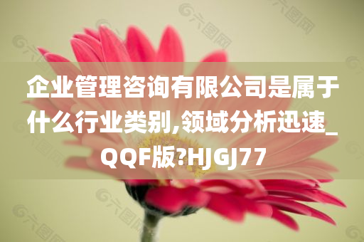 企业管理咨询有限公司是属于什么行业类别,领域分析迅速_QQF版?HJGJ77