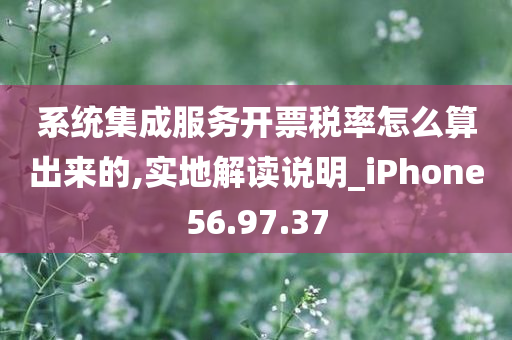 系统集成服务开票税率怎么算出来的,实地解读说明_iPhone56.97.37