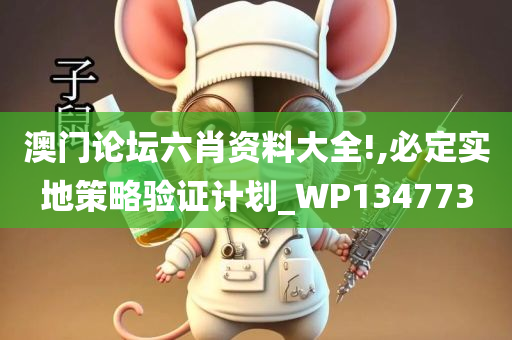 澳门论坛六肖资料大全!,必定实地策略验证计划_WP134773