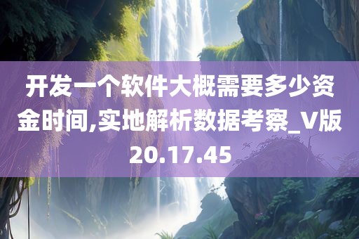 开发一个软件大概需要多少资金时间,实地解析数据考察_V版20.17.45