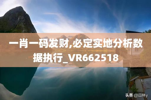 一肖一码发财,必定实地分析数据执行_VR662518