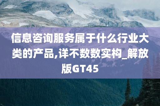 信息咨询服务属于什么行业大类的产品,详不数数实构_解放版GT45