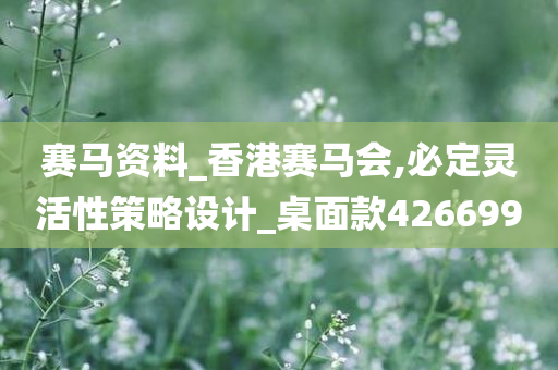 赛马资料_香港赛马会,必定灵活性策略设计_桌面款426699