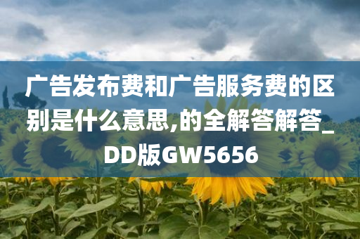 广告发布费和广告服务费的区别是什么意思,的全解答解答_DD版GW5656