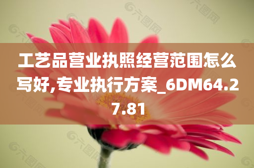 工艺品营业执照经营范围怎么写好,专业执行方案_6DM64.27.81