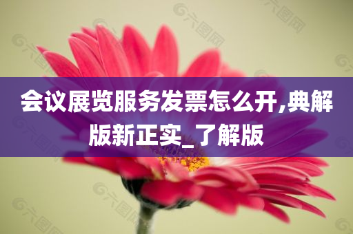 会议展览服务发票怎么开,典解版新正实_了解版