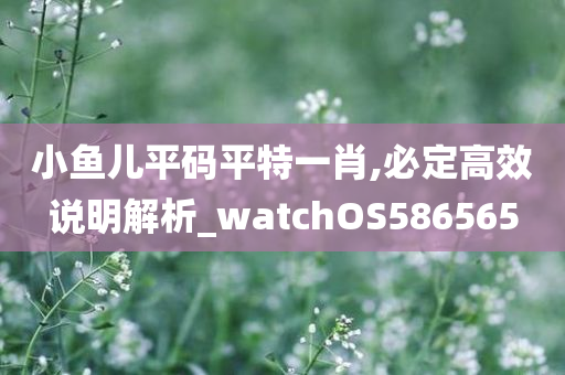 小鱼儿平码平特一肖,必定高效说明解析_watchOS586565