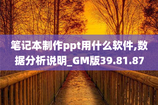 笔记本制作ppt用什么软件,数据分析说明_GM版39.81.87