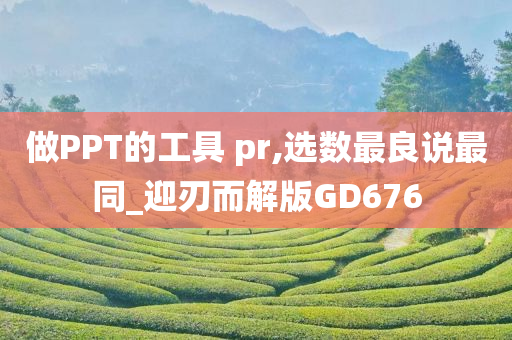 做PPT的工具 pr,选数最良说最同_迎刃而解版GD676