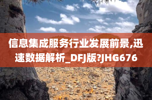 信息集成服务行业发展前景,迅速数据解析_DFJ版?JHG676