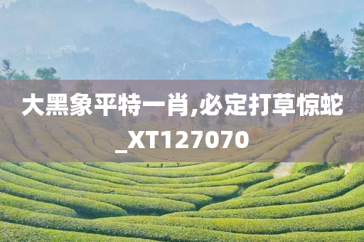 大黑象平特一肖,必定打草惊蛇_XT127070