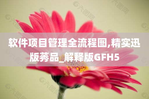 软件项目管理全流程图,精实迅版莠品_解释版GFH5