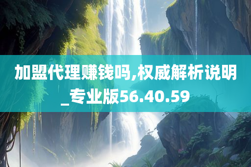 加盟代理赚钱吗,权威解析说明_专业版56.40.59