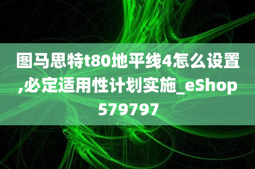 图马思特t80地平线4怎么设置,必定适用性计划实施_eShop579797