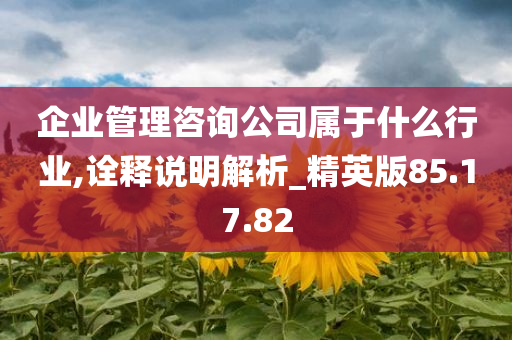 企业管理咨询公司属于什么行业,诠释说明解析_精英版85.17.82