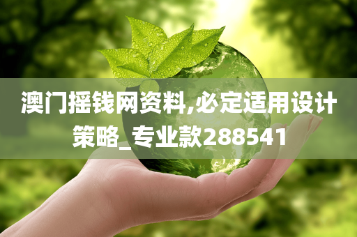 澳门摇钱网资料,必定适用设计策略_专业款288541