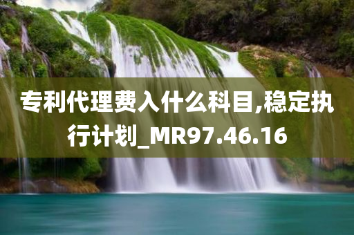 专利代理费入什么科目,稳定执行计划_MR97.46.16