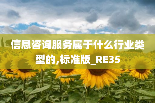 信息咨询服务属于什么行业类型的,标准版_RE35