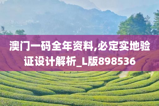 澳门一码全年资料,必定实地验证设计解析_L版898536