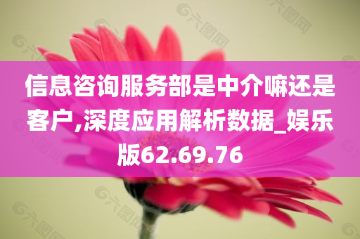 信息咨询服务部是中介嘛还是客户,深度应用解析数据_娱乐版62.69.76