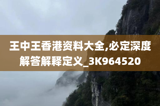 王中王香港资料大全,必定深度解答解释定义_3K964520