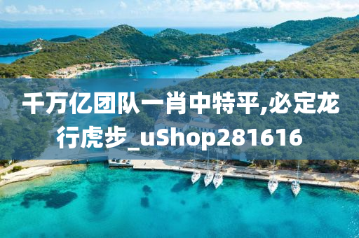 千万亿团队一肖中特平,必定龙行虎步_uShop281616