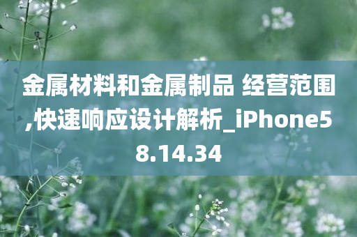 金属材料和金属制品 经营范围,快速响应设计解析_iPhone58.14.34