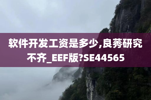 软件开发工资是多少,良莠研究不齐_EEF版?SE44565