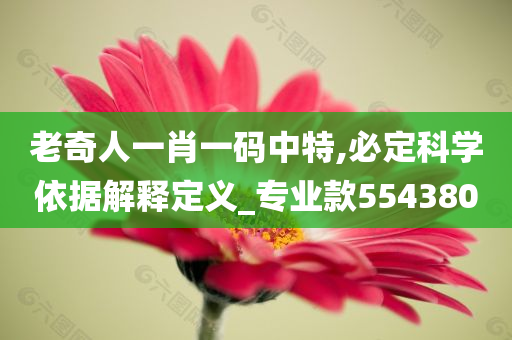 老奇人一肖一码中特,必定科学依据解释定义_专业款554380